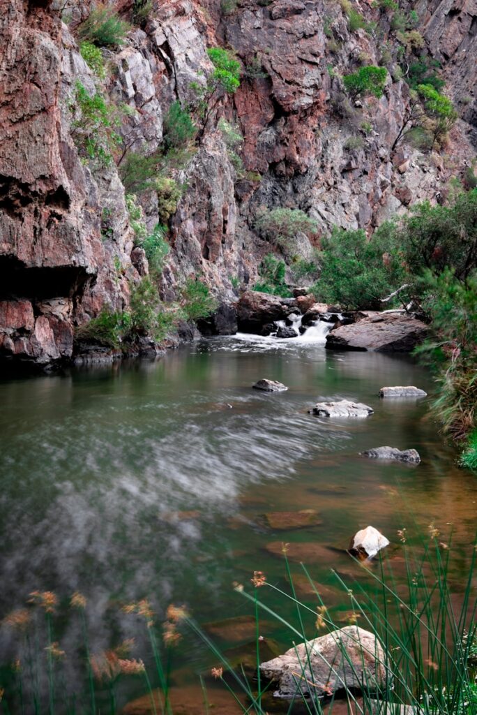 lush greenery next to a river