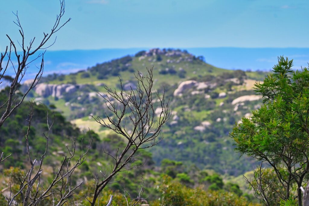 a view of a mountain range with trees in the foreground you yangs regional park