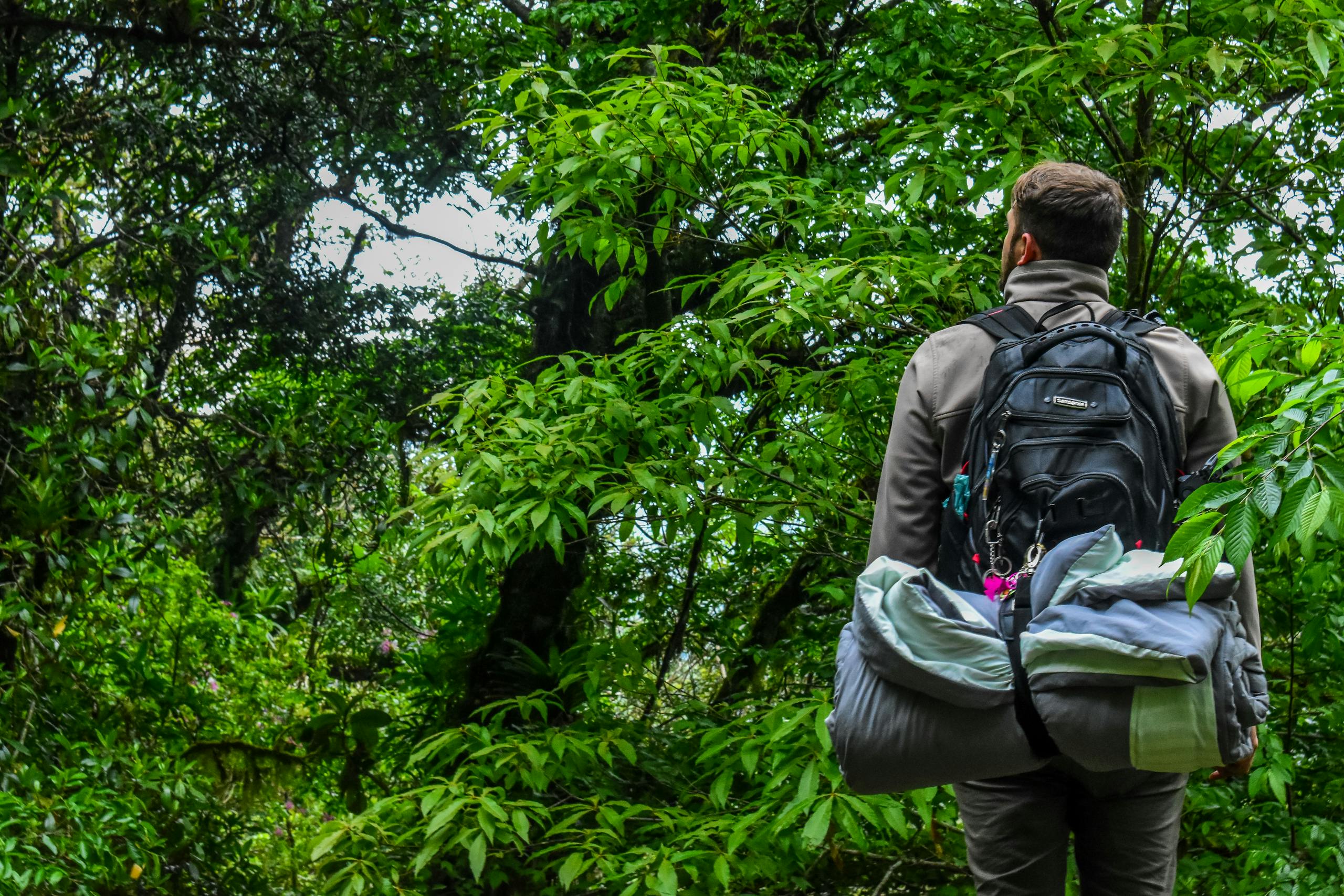 Man on hike Carrying Camping Backpack Standing In-front of Tree